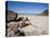 Ceannabeinne Bay, Near Durness, Sutherland, Scotland, United Kingdom, Europe-Jean Brooks-Premier Image Canvas