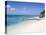 Cedar Grove Beach, Cockburn Town, Grand Turk Island, Turks and Caicos Islands, West Indies-Richard Cummins-Premier Image Canvas