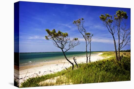 Cedar Inlet-Alan Hausenflock-Premier Image Canvas