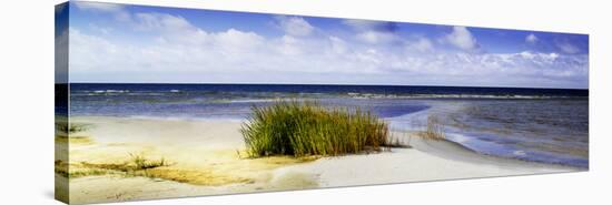 Cedar Island Beach I-Alan Hausenflock-Stretched Canvas