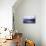 Cedar Island Sunrise-Alan Hausenflock-Premier Image Canvas displayed on a wall