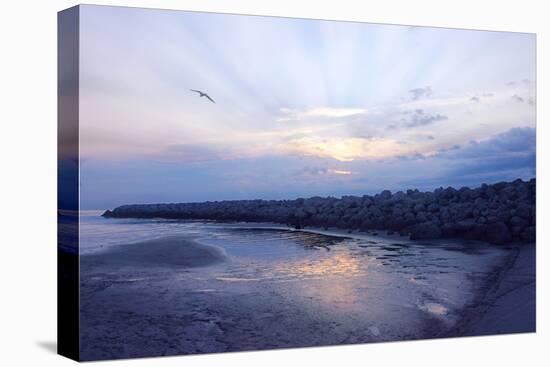 Cedar Island Sunrise-Alan Hausenflock-Premier Image Canvas