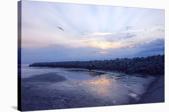 Cedar Island Sunrise-Alan Hausenflock-Premier Image Canvas