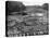 Cedar Logs on the Tebicuary-Guazu River Floating by the Railway Bridge, Paraguay, 1911-null-Premier Image Canvas