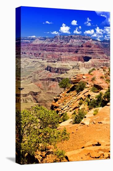 Cedar Ridge - Grand Canyon - National Park - Arizona - United States-Philippe Hugonnard-Premier Image Canvas