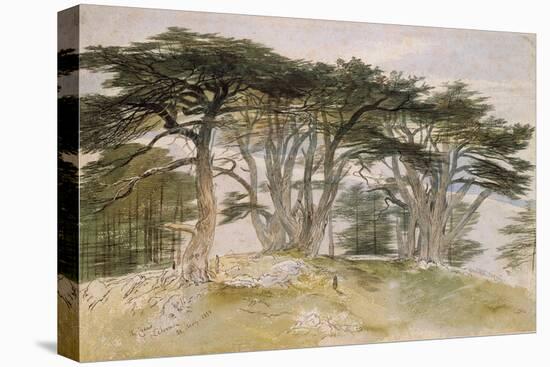 Cedars of Lebanon-Edward Lear-Premier Image Canvas