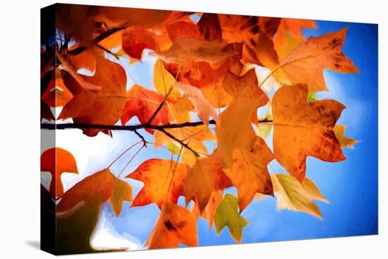 Celebrate Autumn-Philippe Sainte-Laudy-Premier Image Canvas