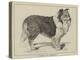 Celebrated Dogs, Charlemagne-Louis Wain-Premier Image Canvas