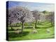 Celebration of Apple Blossom in Somerset, 2004-Liz Wright-Premier Image Canvas