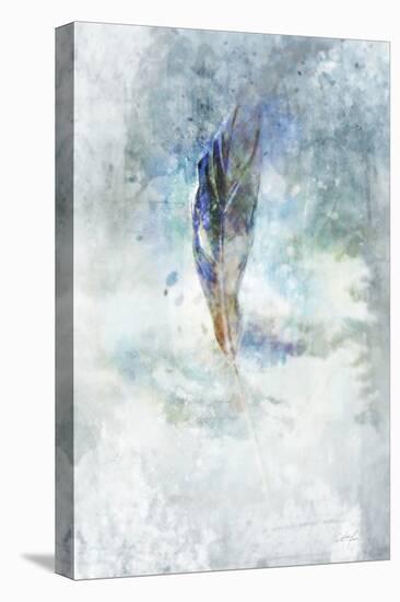 Celestial Feather 2-Ken Roko-Stretched Canvas