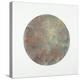 Celestial Sphere Rebirth-Tyson Estes-Premier Image Canvas