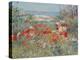 Celia Thaxter's Garden, Isles of Shoals, Maine, 1890-Childe Hassam-Premier Image Canvas