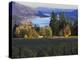 Celilo Vineyard, Columbia River Gorge, Washington, USA-Janis Miglavs-Premier Image Canvas