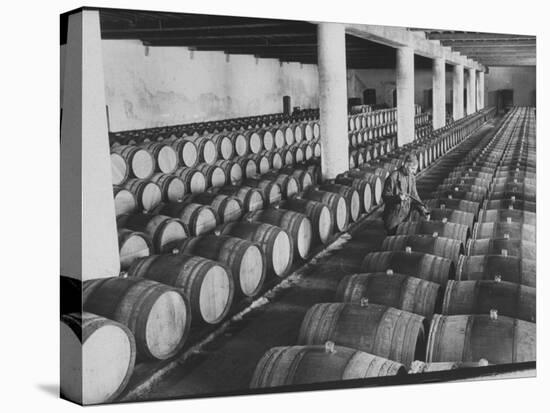 Cellar of Maturing Wines as Wine Maker Tests with Pipette-Carlo Bavagnoli-Premier Image Canvas