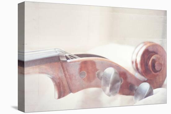 Cello Neck Close Up-Myan Soffia-Premier Image Canvas