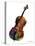 Cello-Mark Ashkenazi-Premier Image Canvas