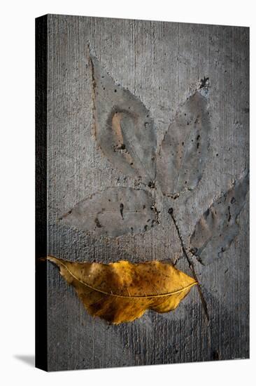 Cement Autumn 1295-Gordon Semmens-Premier Image Canvas