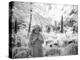 Cemetery in London-Craig Roberts-Premier Image Canvas