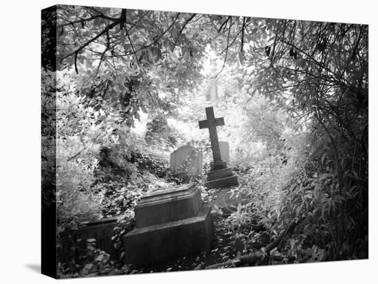 Cemetery with Cross-Craig Roberts-Premier Image Canvas