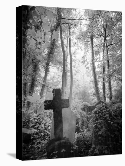 Cemetery with Gravestone-Craig Roberts-Premier Image Canvas