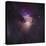 Center of the Orion Nebula (The Trapezium Cluster)-Stocktrek Images-Premier Image Canvas