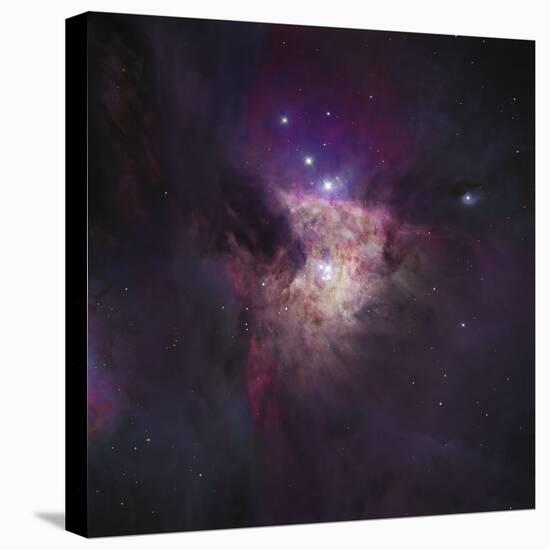 Center of the Orion Nebula (The Trapezium Cluster)-Stocktrek Images-Premier Image Canvas