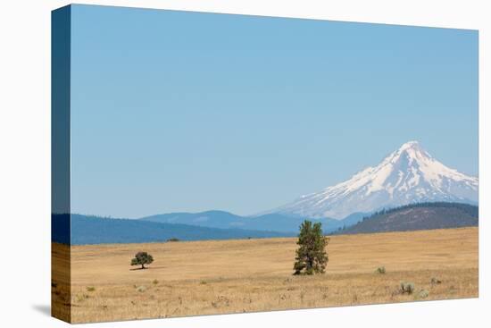 Central Oregon's High Desert with Mount Hood, part of the Cascade Range, Pacific Northwest region,-Martin Child-Premier Image Canvas