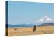 Central Oregon's High Desert with Mount Hood, part of the Cascade Range, Pacific Northwest region,-Martin Child-Premier Image Canvas