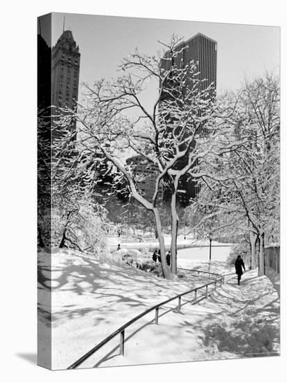 Central Park After a Snowstorm-Alfred Eisenstaedt-Premier Image Canvas