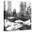 Central Park Bridge-Philippe Hugonnard-Premier Image Canvas