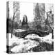 Central Park Bridge-Philippe Hugonnard-Premier Image Canvas