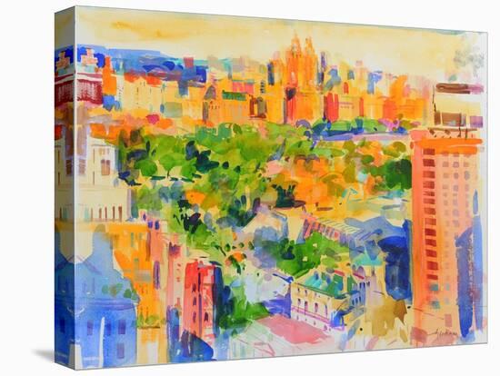 Central Park from The Carlyle-Peter Graham-Premier Image Canvas