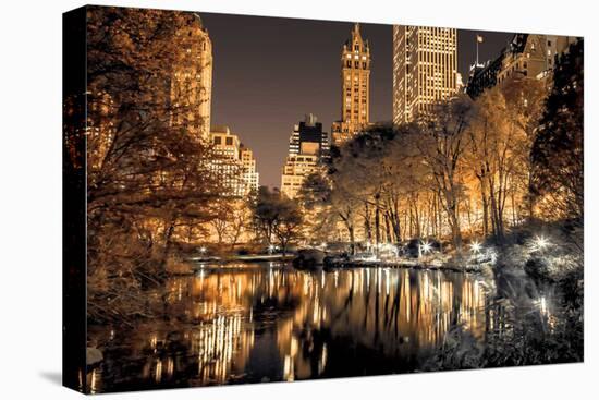 Central Park Glow-Assaf Frank-Stretched Canvas