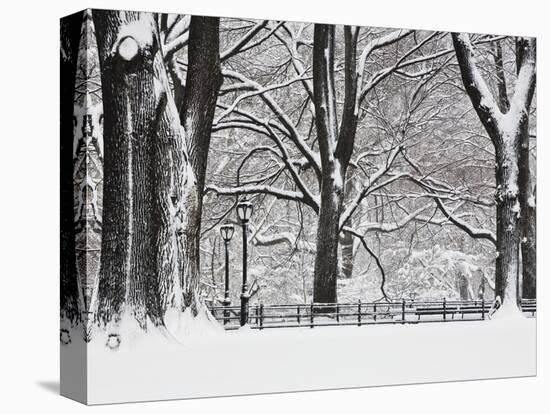 Central Park in Winter-Rudy Sulgan-Premier Image Canvas