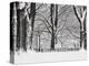 Central Park in Winter-Rudy Sulgan-Premier Image Canvas