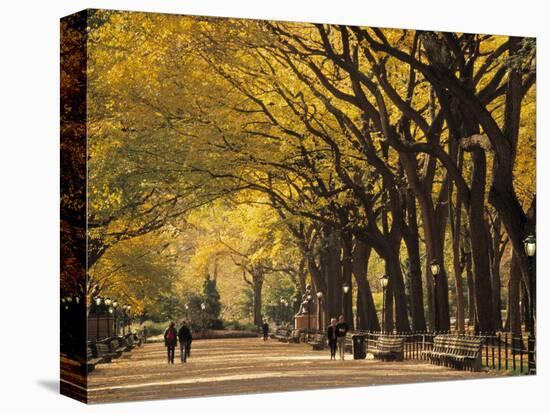 Central Park, New York City, Ny, USA-Walter Bibikow-Premier Image Canvas