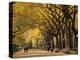 Central Park, New York City, Ny, USA-Walter Bibikow-Premier Image Canvas