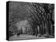 Central Park, New York City, Ny, USA-Walter Bibikow-Premier Image Canvas