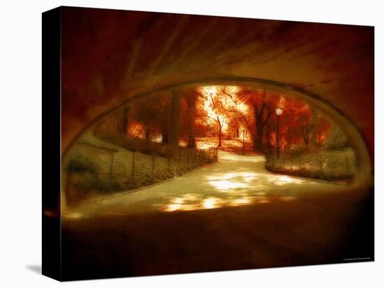 Central Park, no. 1-Katherine Sanderson-Premier Image Canvas