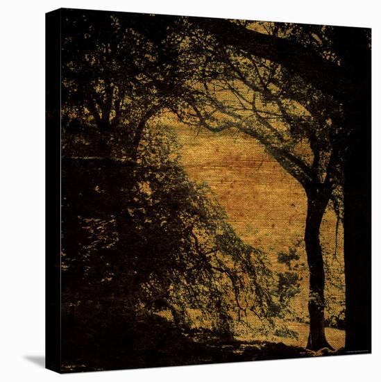 Central Park, no. 4-Katherine Sanderson-Premier Image Canvas