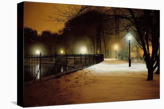 Central Park Nocturne in Snow, 2007-Max Ferguson-Premier Image Canvas