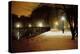 Central Park Nocturne in Snow, 2007-Max Ferguson-Premier Image Canvas