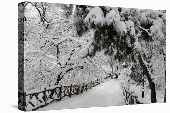 Central Park Path Deep Snow-Robert Goldwitz-Premier Image Canvas
