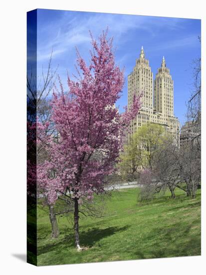 Central Park Spring Colors-Chris Bliss-Premier Image Canvas