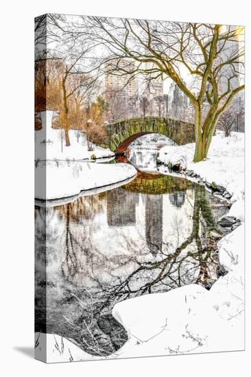 Central Park Winter No. 7-Murray Bolesta-Premier Image Canvas