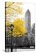 Central Park with Yellow Tree-Emily Navas-Stretched Canvas