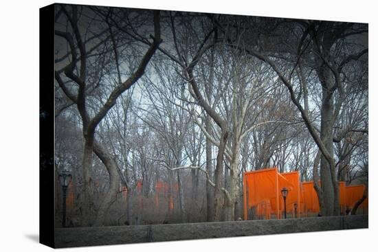 Central Park-NaxArt-Stretched Canvas