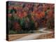 Central Vermont in the Fall, USA-Charles Sleicher-Premier Image Canvas