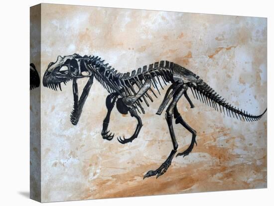 Ceratosaurus Dinosaur Skeleton-Stocktrek Images-Stretched Canvas