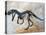 Ceratosaurus Dinosaur Skeleton-Stocktrek Images-Stretched Canvas